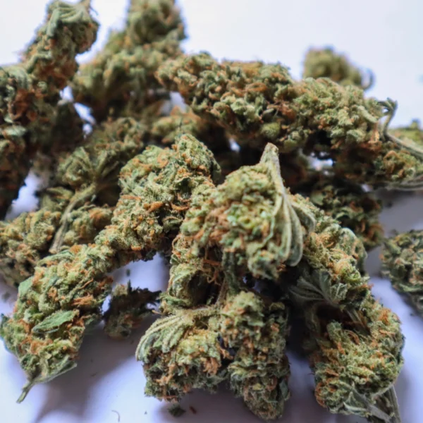 Mazzal Kush – Image 2